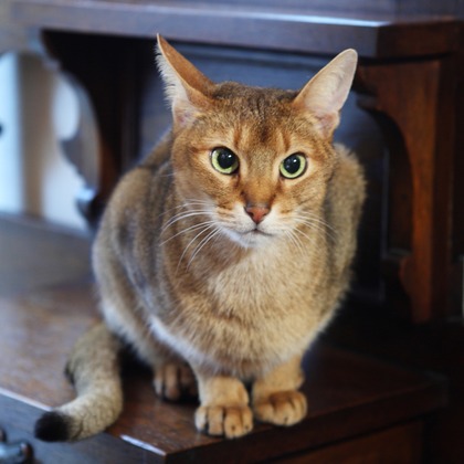 森安　照が撮影した「:albumName」の写真