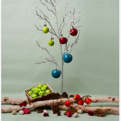 日高恵が撮影した「:albumName」の写真