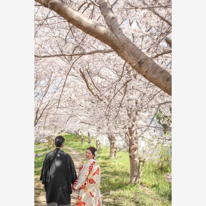 Photo of :albumName taken by Yayoi