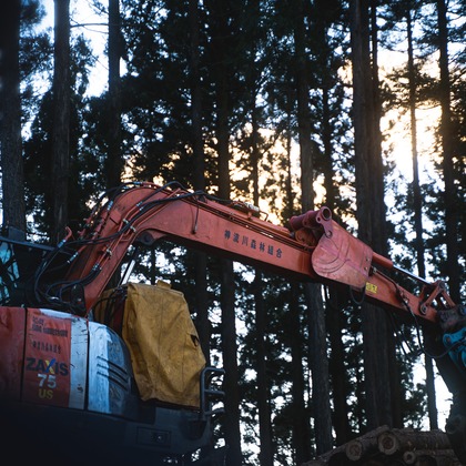 studio9thが撮影した「:albumName」の写真