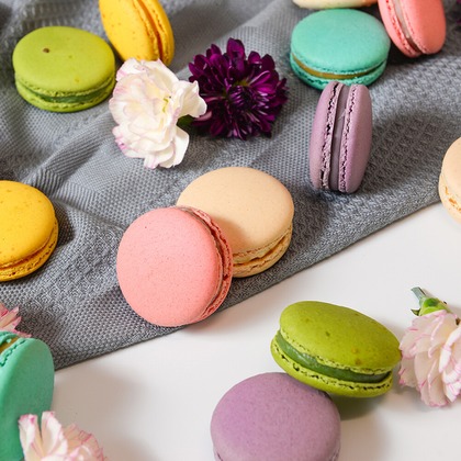 草村写真館が撮影した「:albumName」の写真