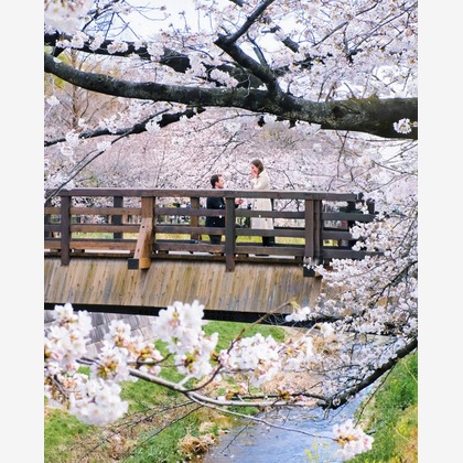 佐藤泰輔写真事務所が撮影した「:albumName」の写真