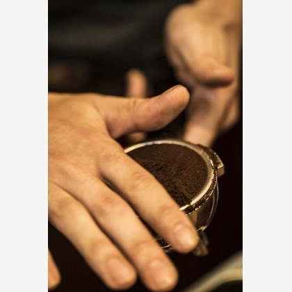 布川航太が撮影した「:albumName」の写真