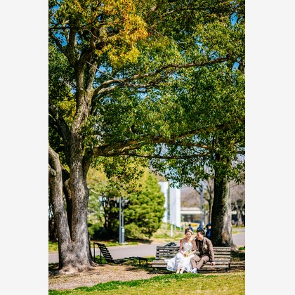 Tomi Photo Studioが撮影した「:albumName」の写真