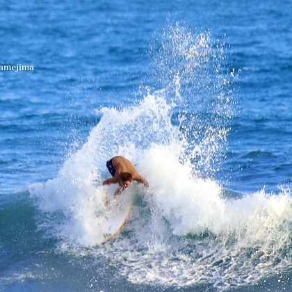 TSD officeが撮影した「:albumName」の写真