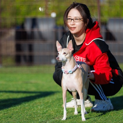 T.Matsumuraが撮影したイベント/スナップ撮影の写真