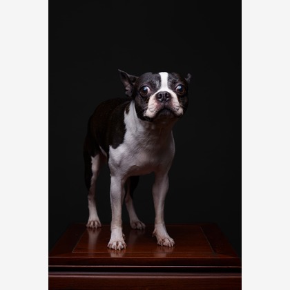 KasaiFilmsが撮影した「:albumName」の写真