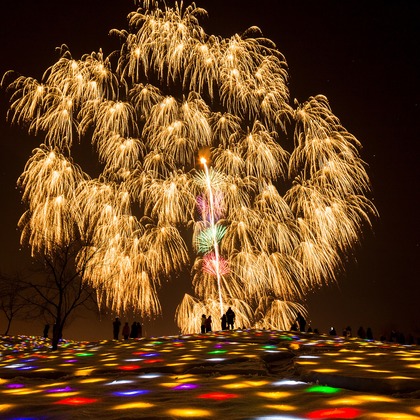 柳　あゆみが撮影したイベント/スナップ撮影の写真