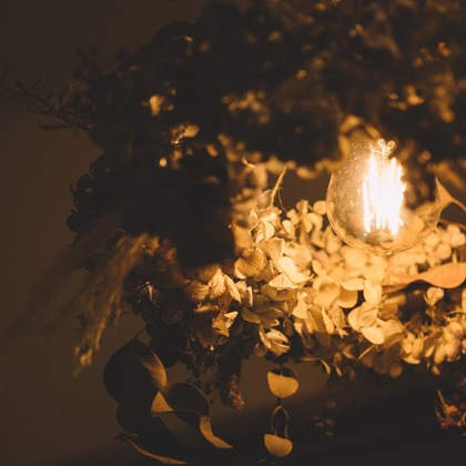 スタジオトモロが撮影した店舗/オフィス/サロン撮影の写真