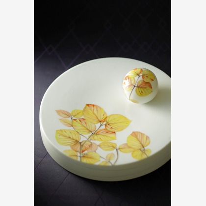 蛭子真写真事務所が撮影したウェディングや家族、ビジネスの写真