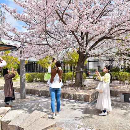 Bus Driver Photo NAKAMOTOが撮影した「:albumName」の写真