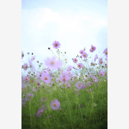 写真屋gonree　阿波根里恵が撮影した旅行先の記念撮影の写真