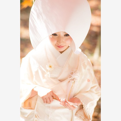 ピュアアーティス(小島 靖雄)が撮影したウェディングや家族、ビジネスの写真