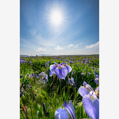 高木勇斗が撮影した「:albumName」の写真