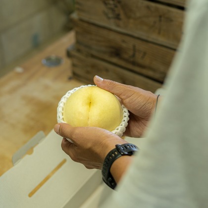 umimoyamamoworksが撮影した「:albumName」の写真