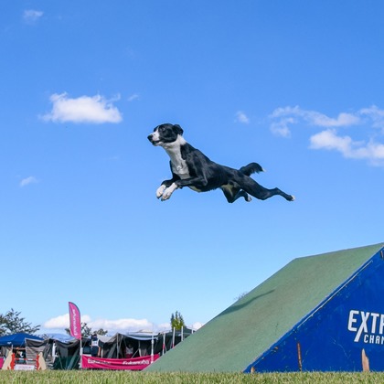 スタジオファンタスが撮影した「:albumName」の写真