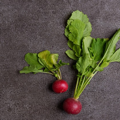 Studio&Gallery Analog　佐伯写真館が撮影した商品/物撮りの写真