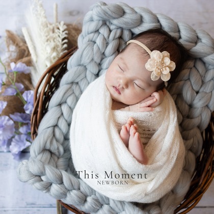 This Momentが撮影した「:albumName」の写真