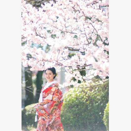 Photo of :albumName taken by THE CLIPS