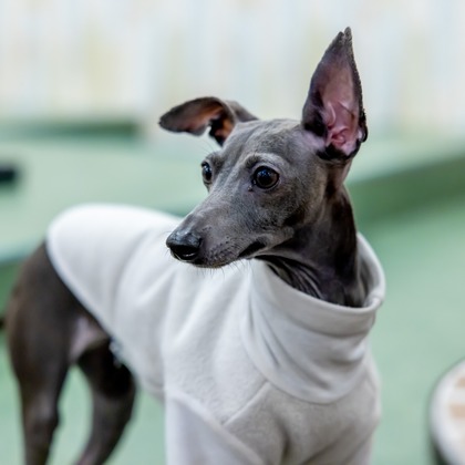 沖山俊樹が撮影した「:albumName」の写真