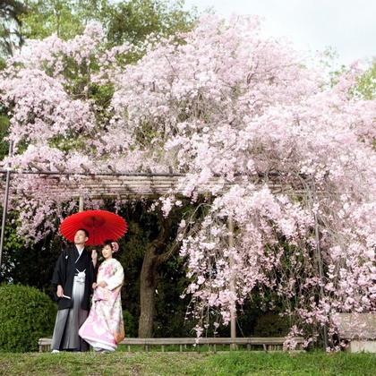 アトリエカーシャが撮影したウェディングや家族、ビジネスの写真