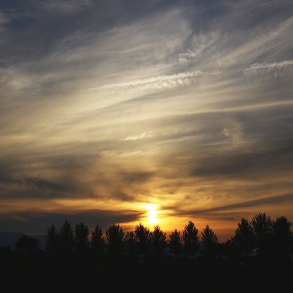 COAフォトが撮影したその他の写真