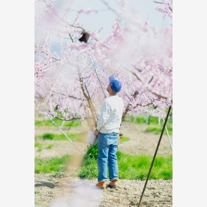 umimoyamamoworksが撮影した「:albumName」の写真