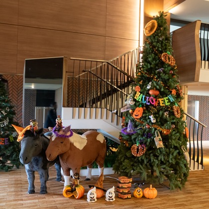 猫田晃広が撮影した「:albumName」の写真