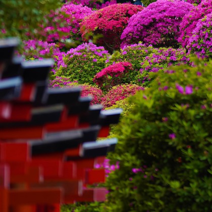 鈴木賢志が撮影した旅行先の記念撮影の写真