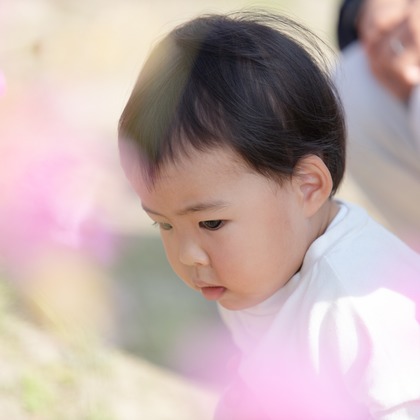 福永写真事務所が撮影した「:albumName」の写真