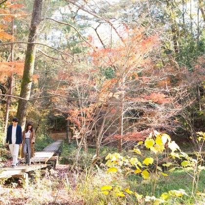 Location Photo Shoot Photos taken by Aurora Photography