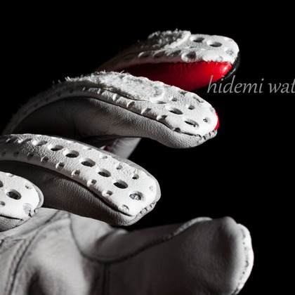 Silver Back Studioが撮影した「:albumName」の写真