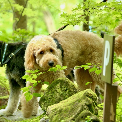 TSD officeが撮影した「:albumName」の写真