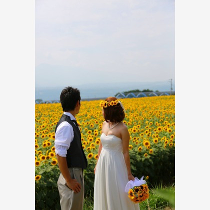 セリエドレッシングが撮影したウェディングや家族、ビジネスの写真