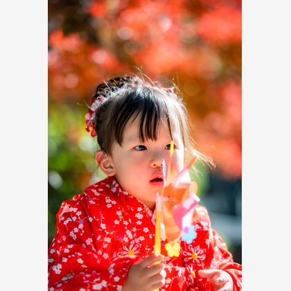 maruが撮影した七五三フォトの写真