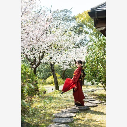 山口　竜が撮影したその他/成人式撮影の写真