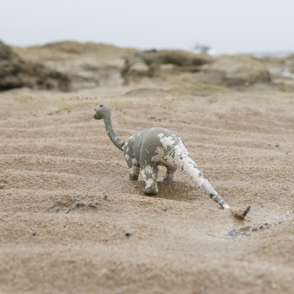 翔写真事務所が撮影した「:albumName」の写真