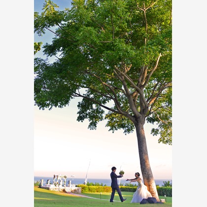 マニス ウェディングが撮影した「:albumName」の写真