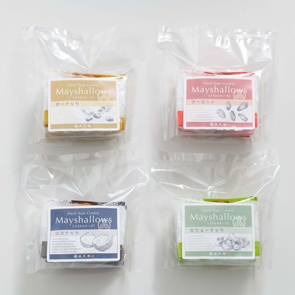 北野隼人が撮影した「:albumName」の写真