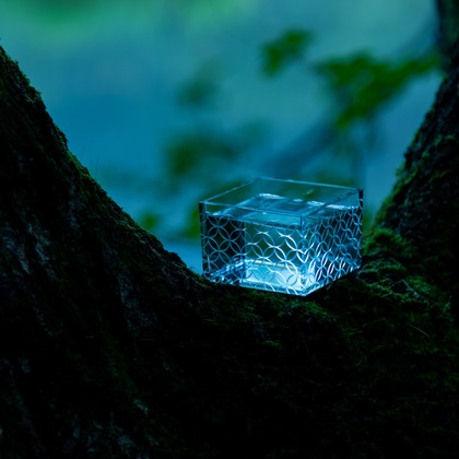 maruが撮影した「:albumName」の写真