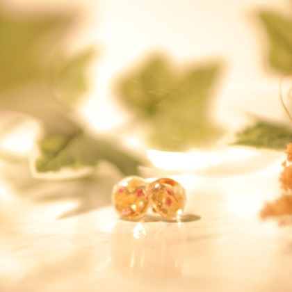 菅谷亜由美が撮影した「:albumName」の写真