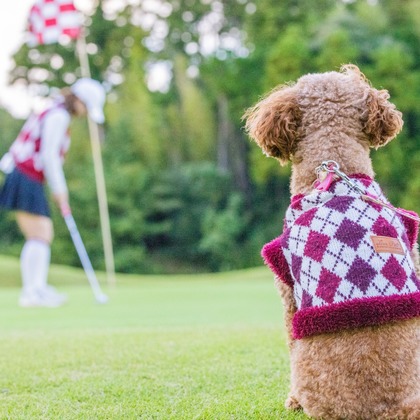 長竹　進吾が撮影した「:albumName」の写真