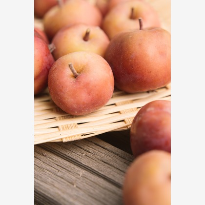 Aurora Photographyが撮影した「:albumName」の写真