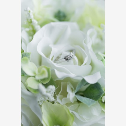 Yuki Shimada Photographyが撮影した「:albumName」の写真