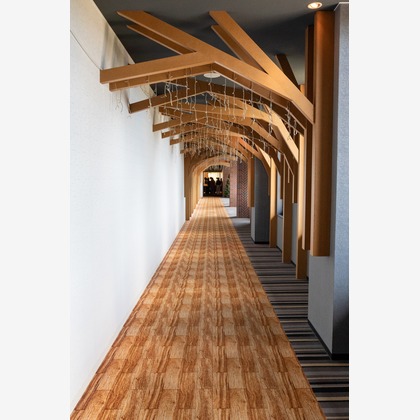 猫田晃広が撮影した「:albumName」の写真