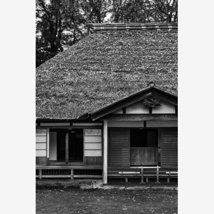 尾田信介が撮影した「:albumName」の写真