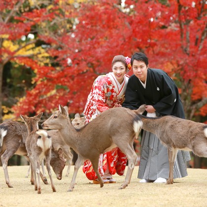 Wedding, Bridal Photos taken by Hayashi Photo Works