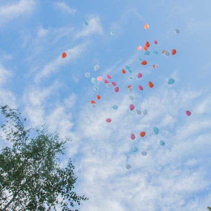 Photo of :albumName taken by Y スタジオ