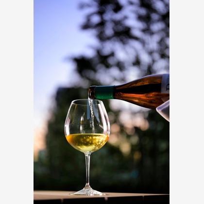 蛭子真写真事務所が撮影したウェディングや家族、ビジネスの写真