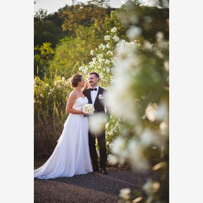 Photo of :albumName taken by FotoStradaFacendo